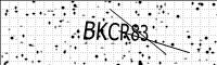 captcha-image