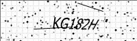 captcha-image