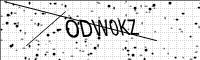 captcha-image