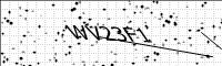 captcha-image