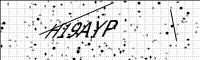 captcha-image