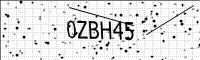 captcha-image