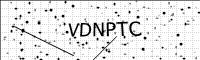 captcha-image
