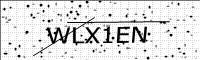 captcha-image