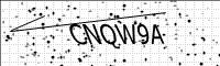 captcha-image