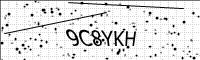 captcha-image
