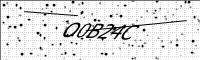 captcha-image