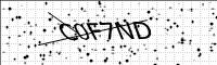 captcha-image