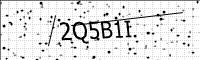 captcha-image