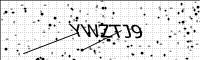 captcha-image