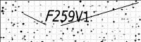 captcha-image
