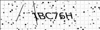 captcha-image