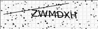 captcha-image