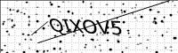 captcha-image