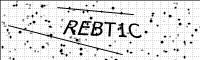 captcha-image