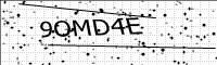 captcha-image