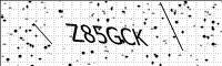 captcha-image