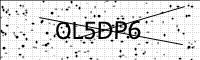 captcha-image