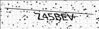 captcha-image