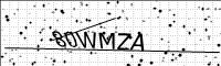 captcha-image