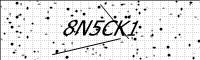 captcha-image
