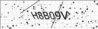 captcha-image