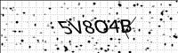 captcha-image