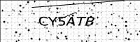 captcha-image