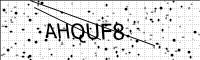 captcha-image