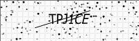captcha-image