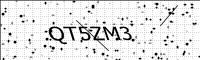 captcha-image