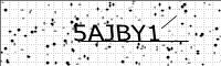captcha-image