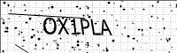 captcha-image