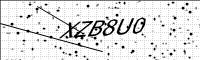 captcha-image