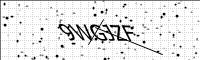 captcha-image