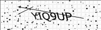 captcha-image