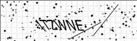 captcha-image