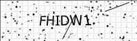 captcha-image