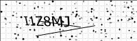 captcha-image