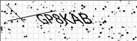 captcha-image
