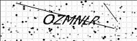 captcha-image