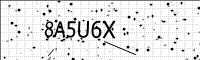 captcha-image