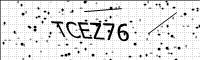 captcha-image