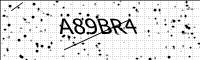 captcha-image