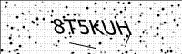 captcha-image