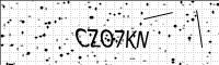 captcha-image