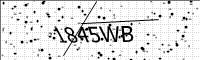 captcha-image