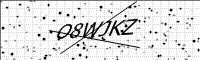 captcha-image