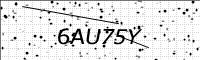 captcha-image