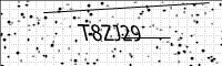 captcha-image